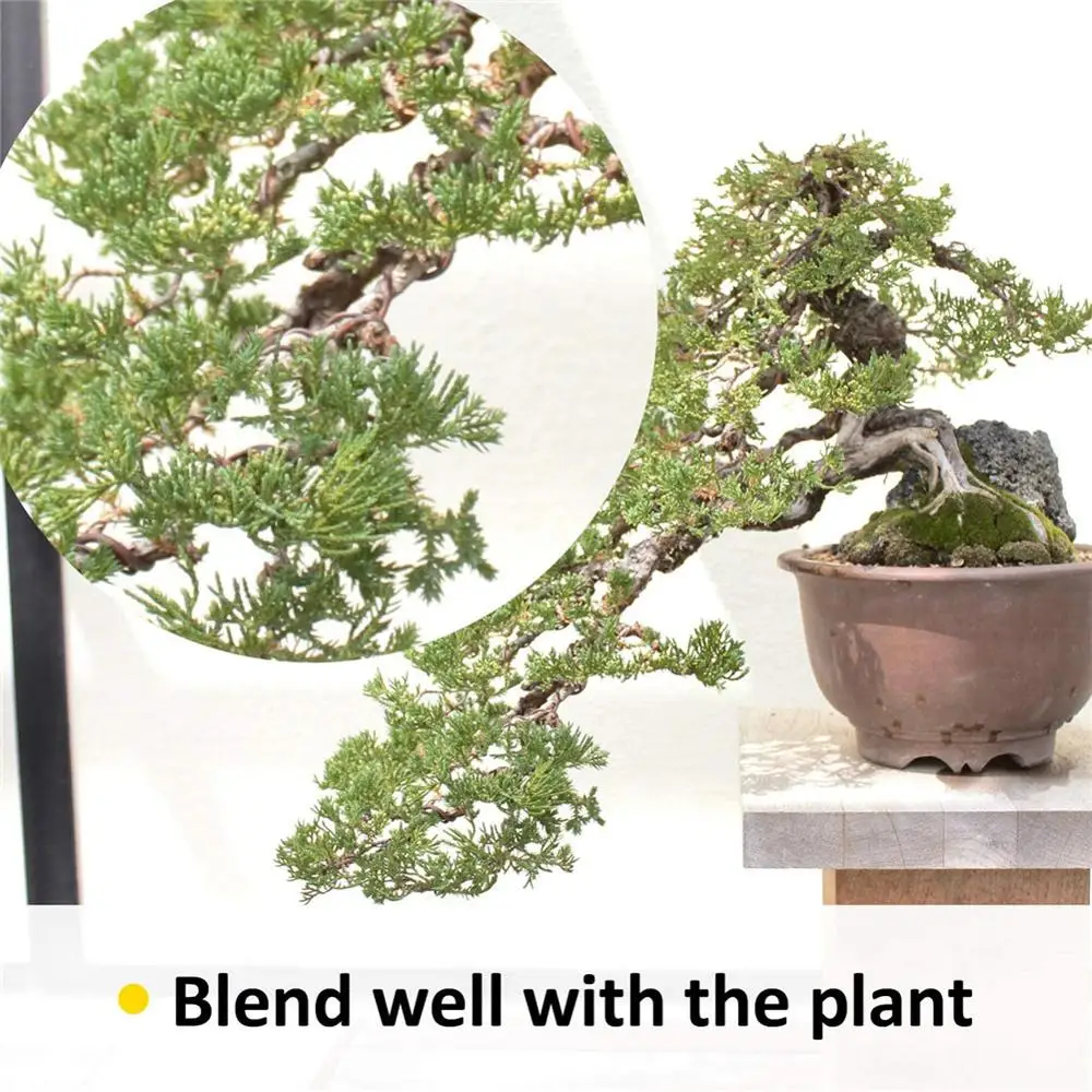 5 рулонов проводов бонсай анодированный алюминий тренировочная проволока с 3