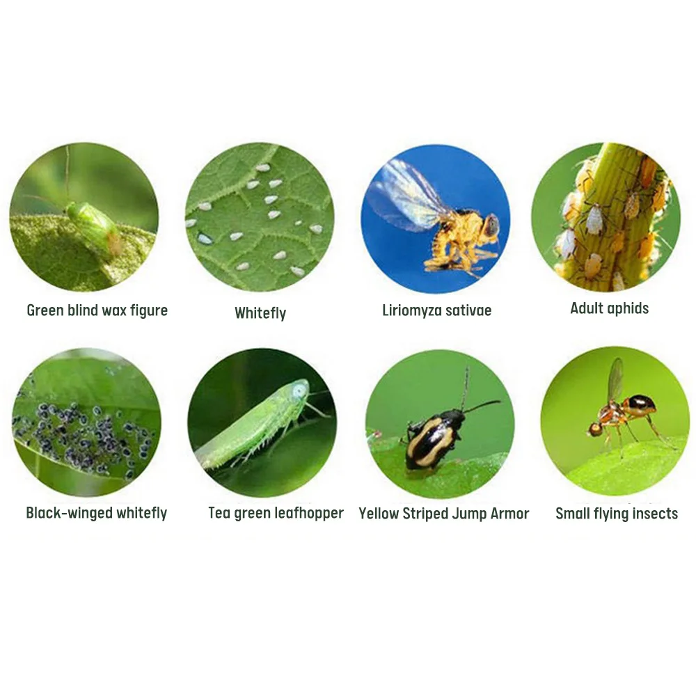 

100Pcs/Set Insect Trap Yellow Board Gardening Fly Trap 3 Types for Optional Garden Fly Killer Pest Traps Mosquito Kill Tools