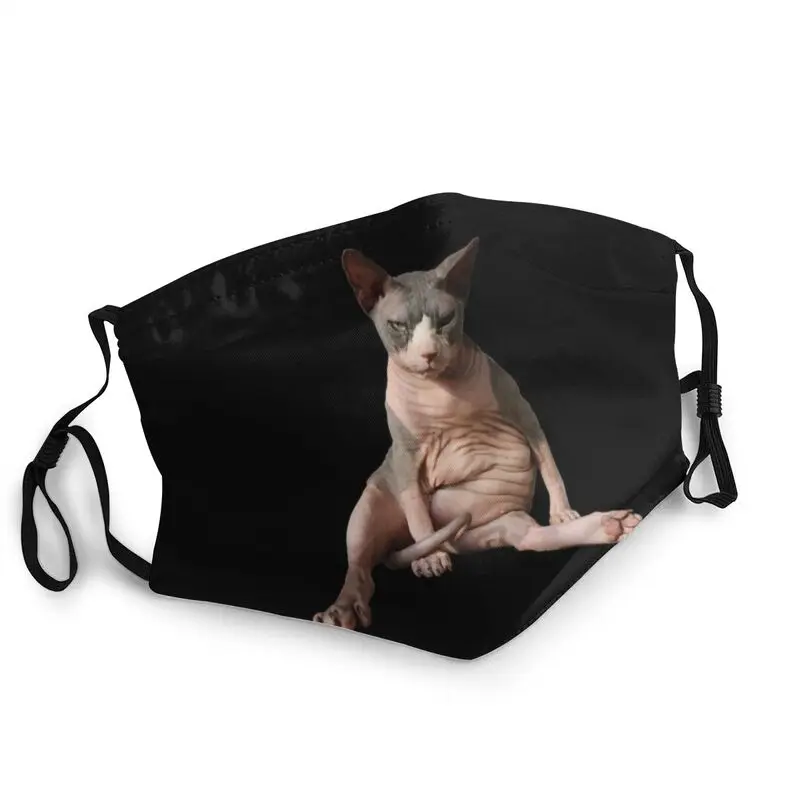 

Маска Shpynx Регулируемая унисекс для лица, респиратор с котятами против смога и пыли, с защитой от краев и рта