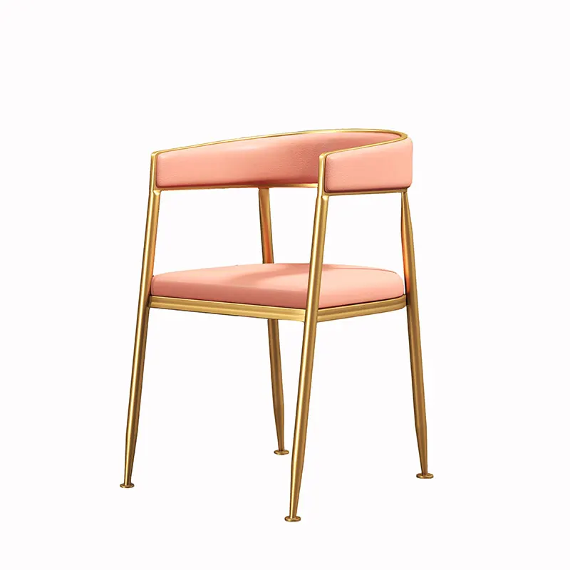 Nordic Light Luxury Dining Chair Simple Theme Restaurant Industrial Style Drink Milk Tea Shop Ins |