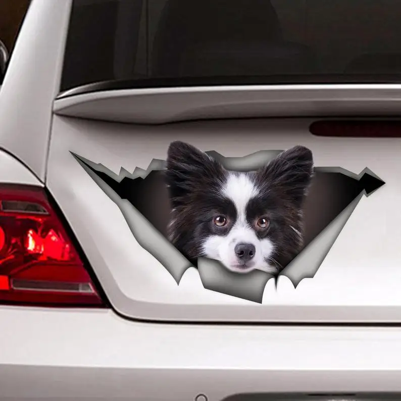 

Black and White Pomeranian sticker, car decal, Pomeranian car decal