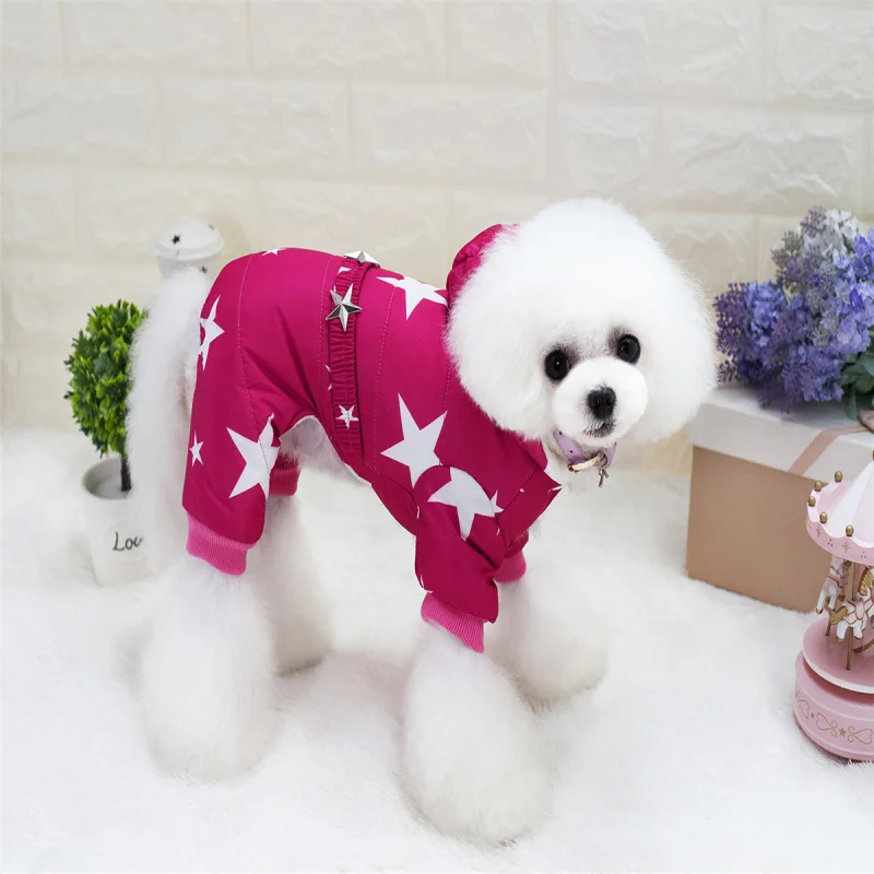 Ropa para perros peque&ntilde;os y medianos, abrigo de algod&oacute;n c&aacute;lido de moda, Estrella gruesa de cuatro patas, oto&ntilde;o e invierno, novedad-4