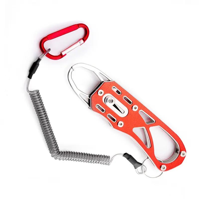 

Fishing Pliers,Mini Stainless Steel Fish Control Device,Portable Lanyard Retractable Fish Catcher,Luya Pliers,Fishing Tools
