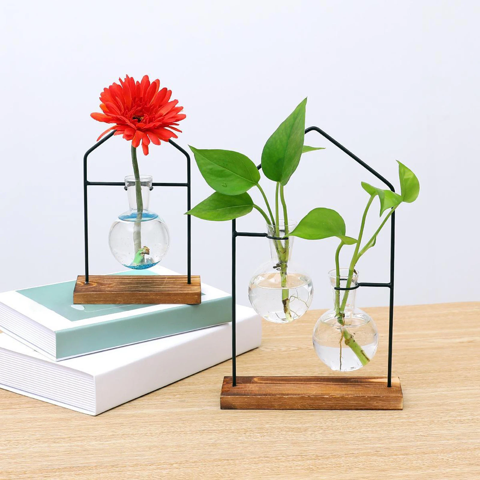 

Bulb Vase with Wooden Stand and Metal Rotating Rod for Hydroponics