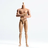 in stock tq230 16 male figure action 12 flexible muscular body with neck fit 16 man head sculpt