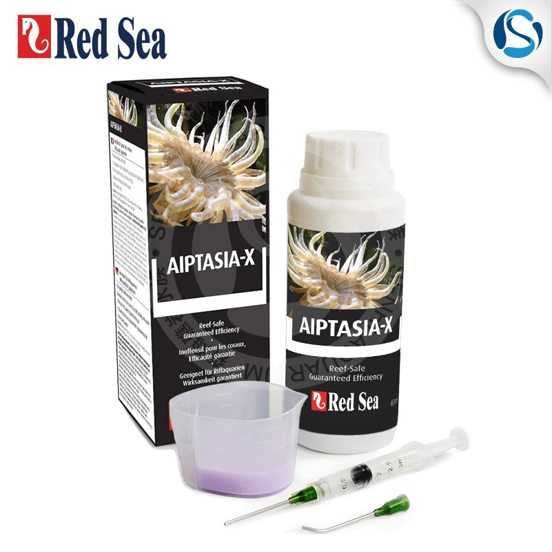 Basura del Mar Rojo Kwai Aiptasia, tanque de coral de agua de mar a la basura Kwai-0