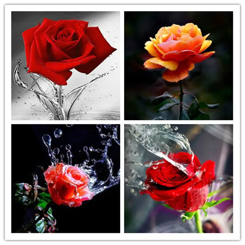 Diy новая Алмазная вышивка цветок Роза полная картина крестиком полное сверление