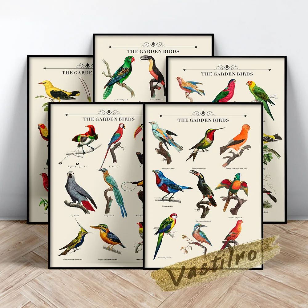 Коллекция садовых птиц выставок настенные художественные принты плакат ручная