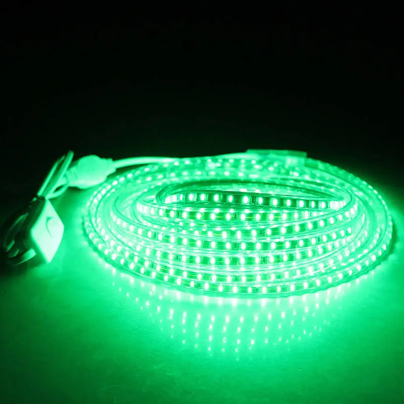 

Led Strip Light with ON/OFF Switch AC220V 3014Flexible LED Tape Light IP68 Waterproof 1m 5m 10m Strip LED Ribbon Lights