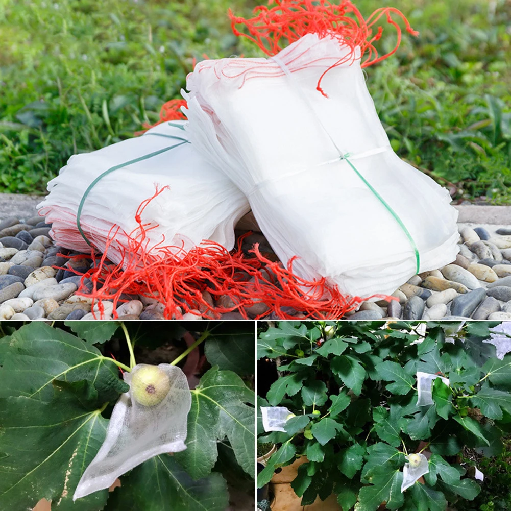 50 шт. овощи фрукты сохранения семенного материала на шнурке анти птица