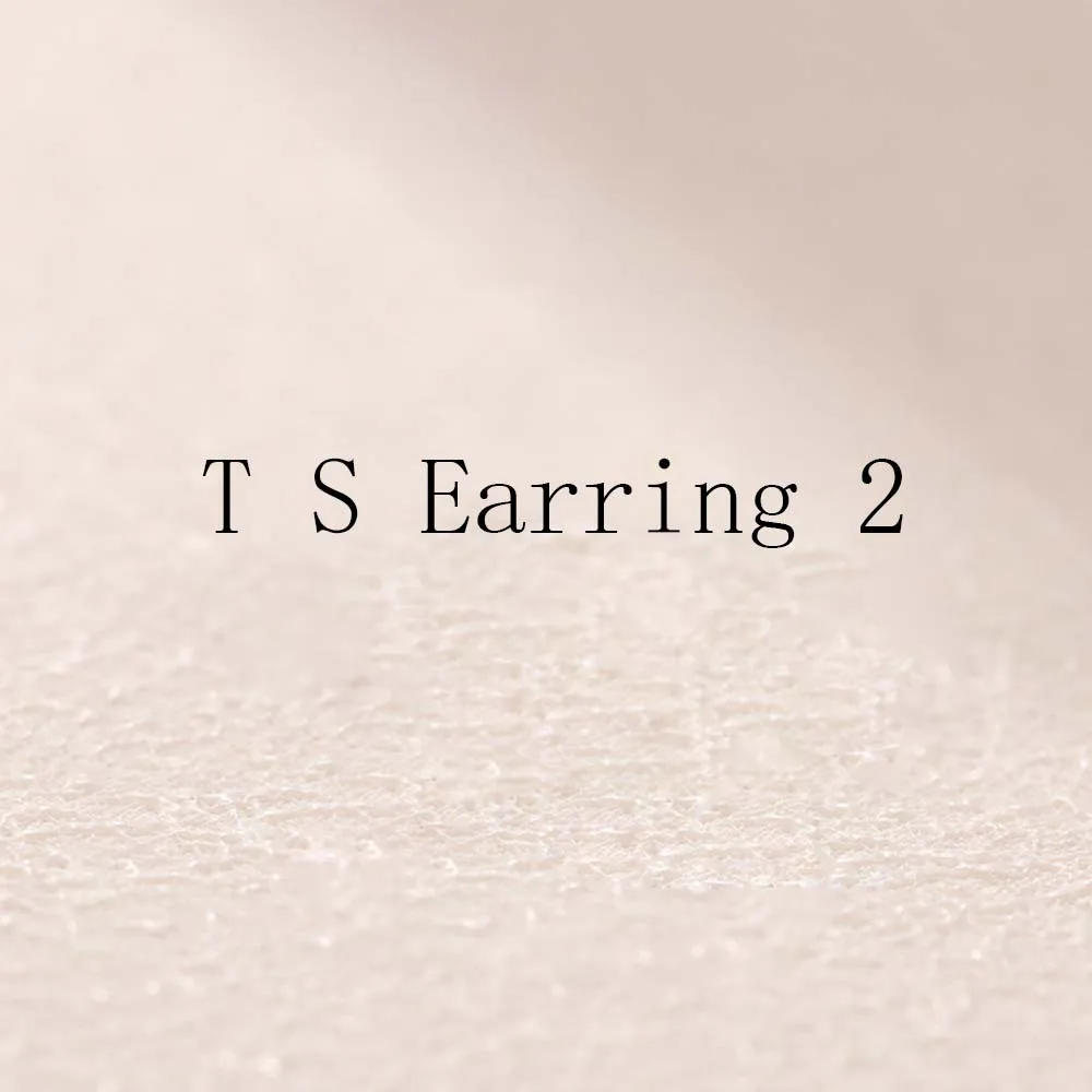 

T S Earings 2