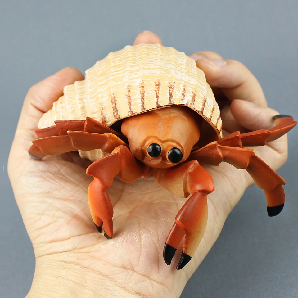 

Hermit crab Model Emulation sea Life animals monster Marine organism Crab Early education Toys Collection Gift Decor Gift
