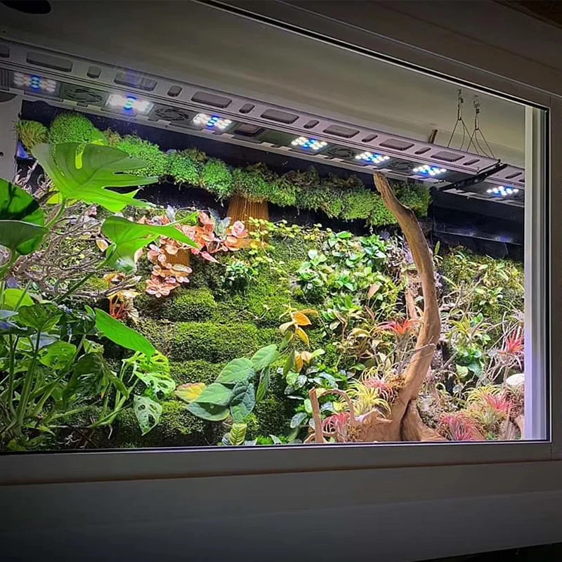 구매 전문 식물 성장 조명 물고기 탱크 조명 전체 스펙트럼 수족관 조사 액세서리 LED 조명 장식 램프