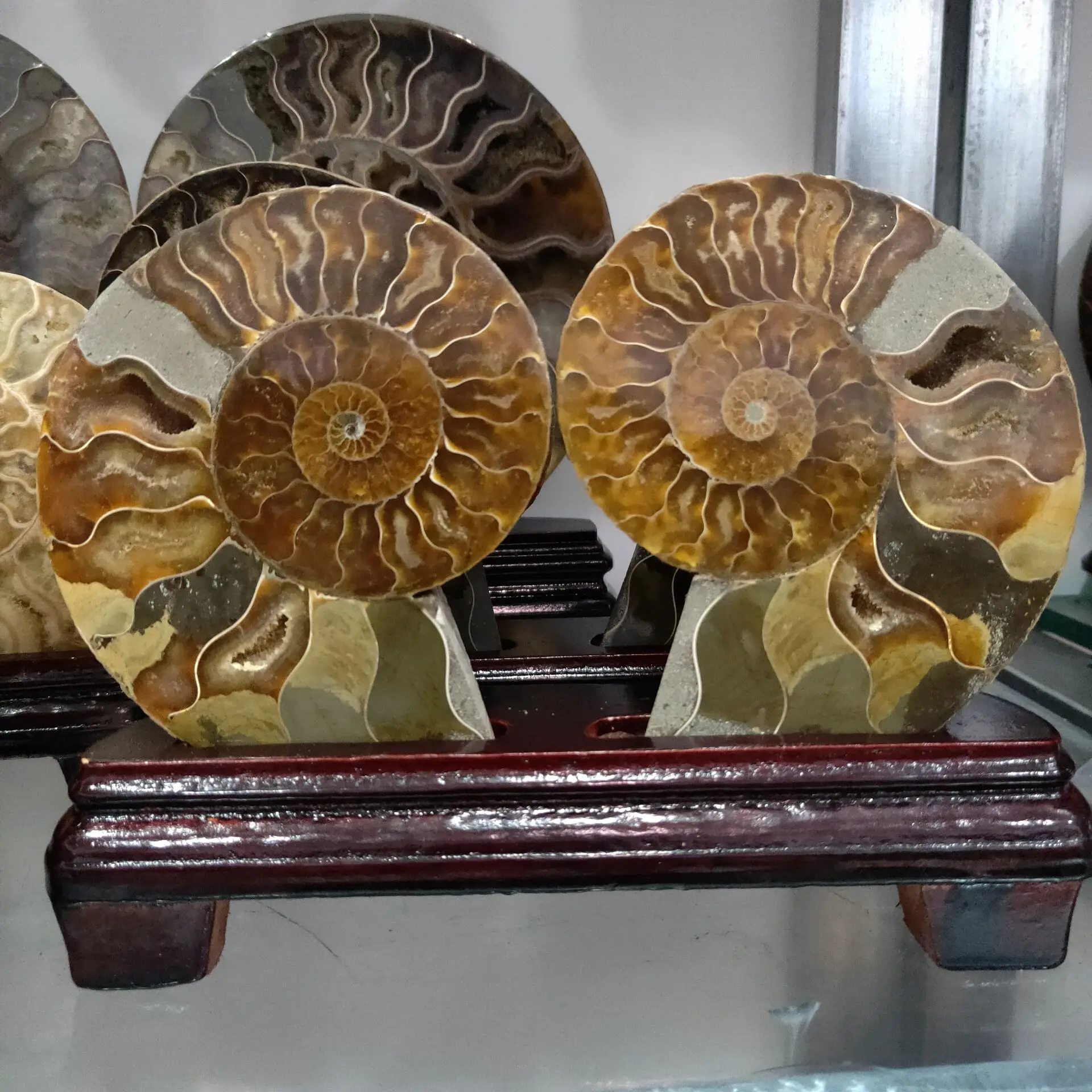 

Natural Crystal Snail Conch Fossil Ammonite Stone Slice Furniture Mineral Specimen Quartz Home Decoration Gift Plus Base