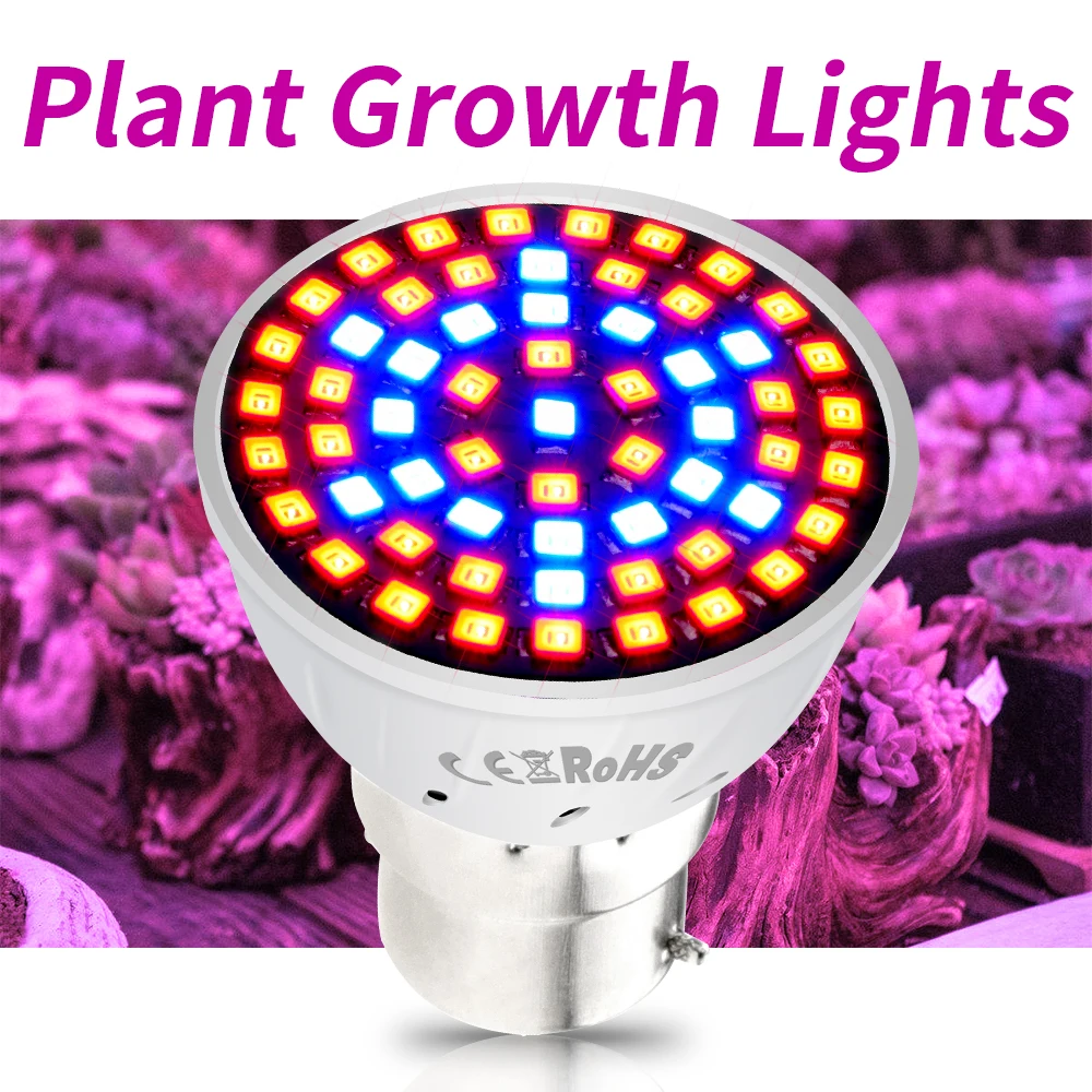 

Led Grow Bulb E27 Plant Light E14 Growth Indoor Lamp 48 60 80 Leds GU10 Full Spectrum Lighting MR16 220V Led Phyto Lamp B22 240V