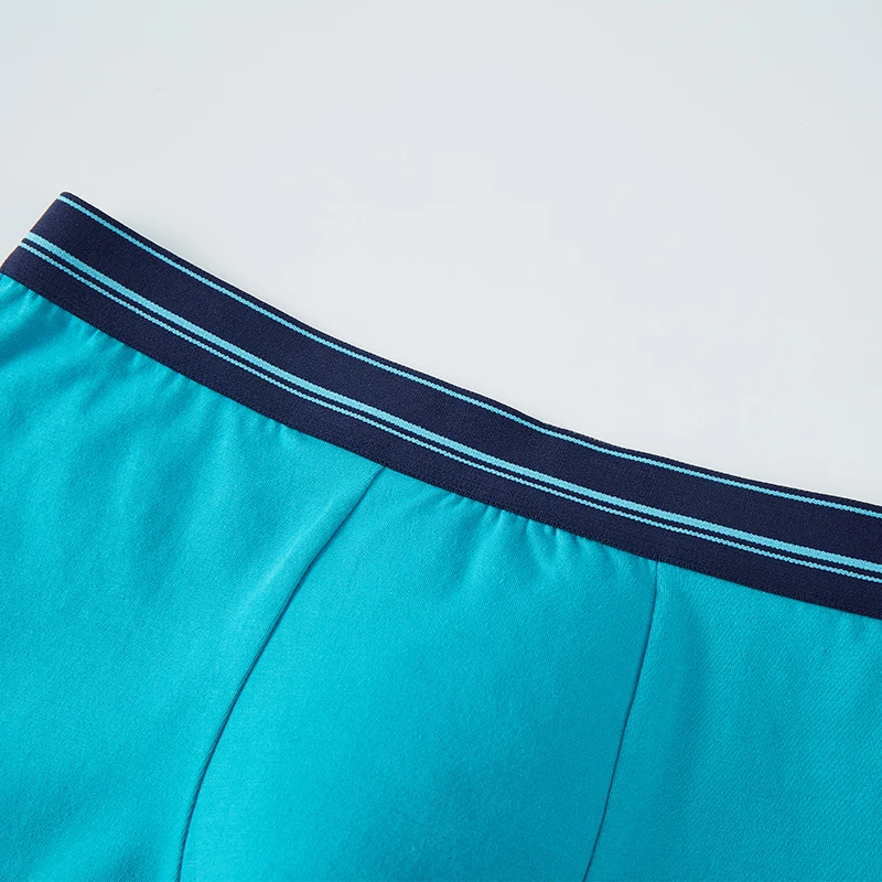 4 шт. Подарочная коробка хлопковое нижнее белье мужские дышащие шорты