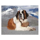 Алмазная вышивка Пет сенбернар, собака 5D, алмазная вышивка Мозаика из горного хрусталя для росписи, квадратная круглая, сделай сам, домашний декор Рождественские предложения