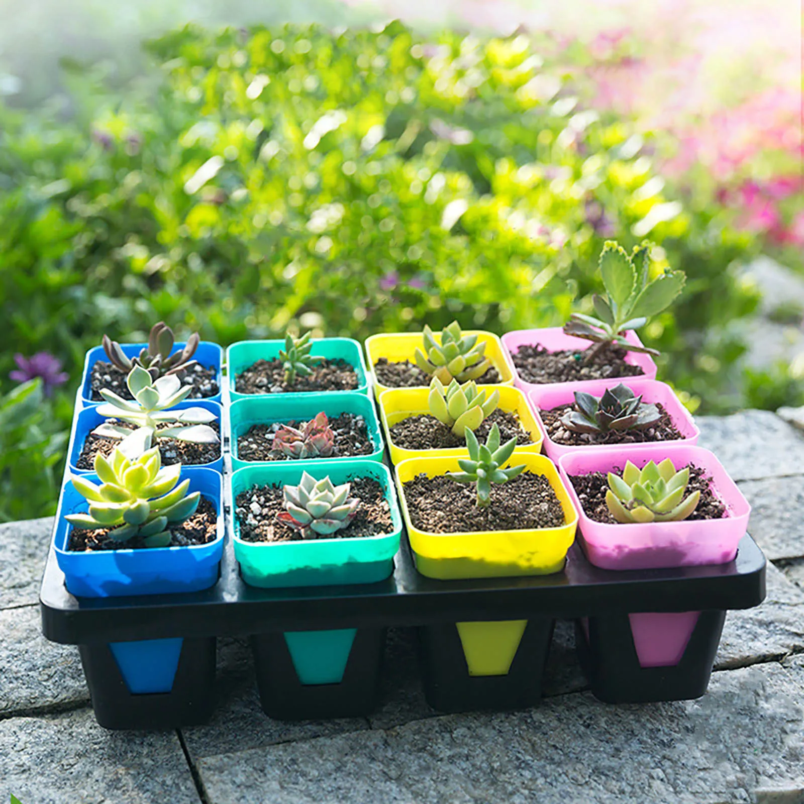 

2021top home decor New Flower Pot Plastic Flower Pot Decor Garden Pot Flower Nursery Tray for Home Gardening