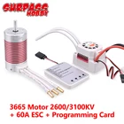 SURPASS водонепроницаемый комбинированный 3665 бесщеточный двигатель 110 кв 18 кв с 60A ESC с картой программирования для радиоуправляемого автомобиля Traxxas Axial