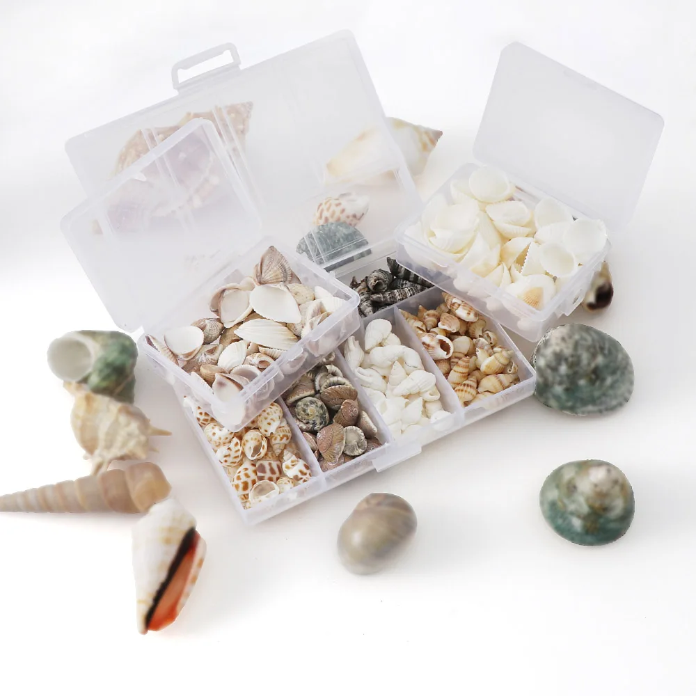 

Mix Style Natural Shell 1-3cm 1 BOX Natural Conch Shells Mini Conch Corn Screw Wall Decoration DIY Aquarium Landscape Seashells