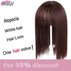 Женские синтетические волосы BUQI 14 дюймов, натуральный цвет, зажим для волос, прямые волосы, короткая челка, верхнее закрытие, шпильки для волос