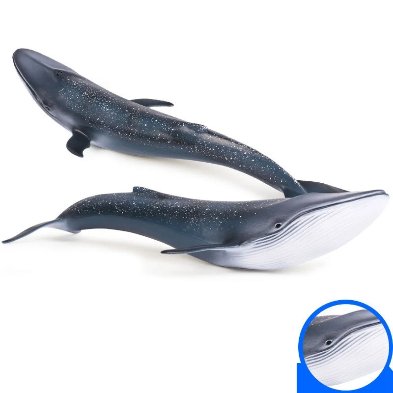 Синие игрушечные киты Sea Life модель животного фигурки классические игрушки