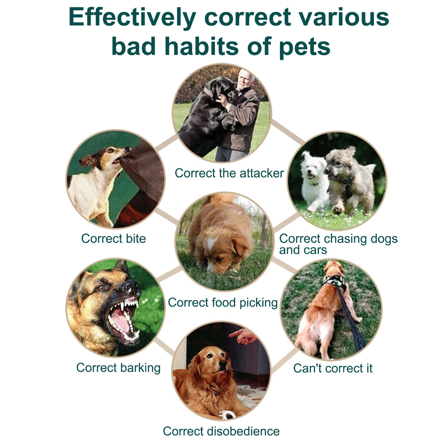 

2 In 1 Dog Training Collar Automatic Stop Barking Collars LCD Display Anti-Bark Tool Pet Dog Remote Controller for All size dogs