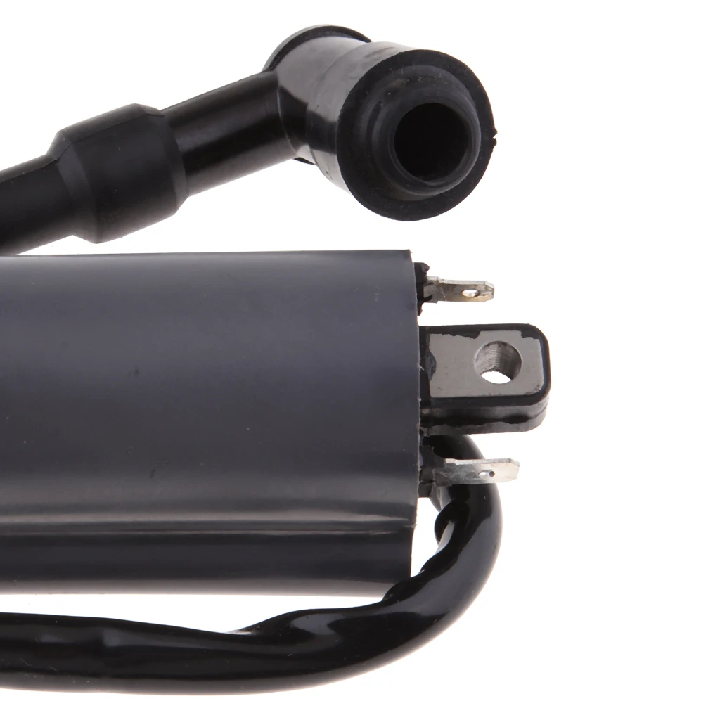 

Ignition Coil Module For Buyang 300CC D300 G300 H300 ATV Quad BUGGY Black