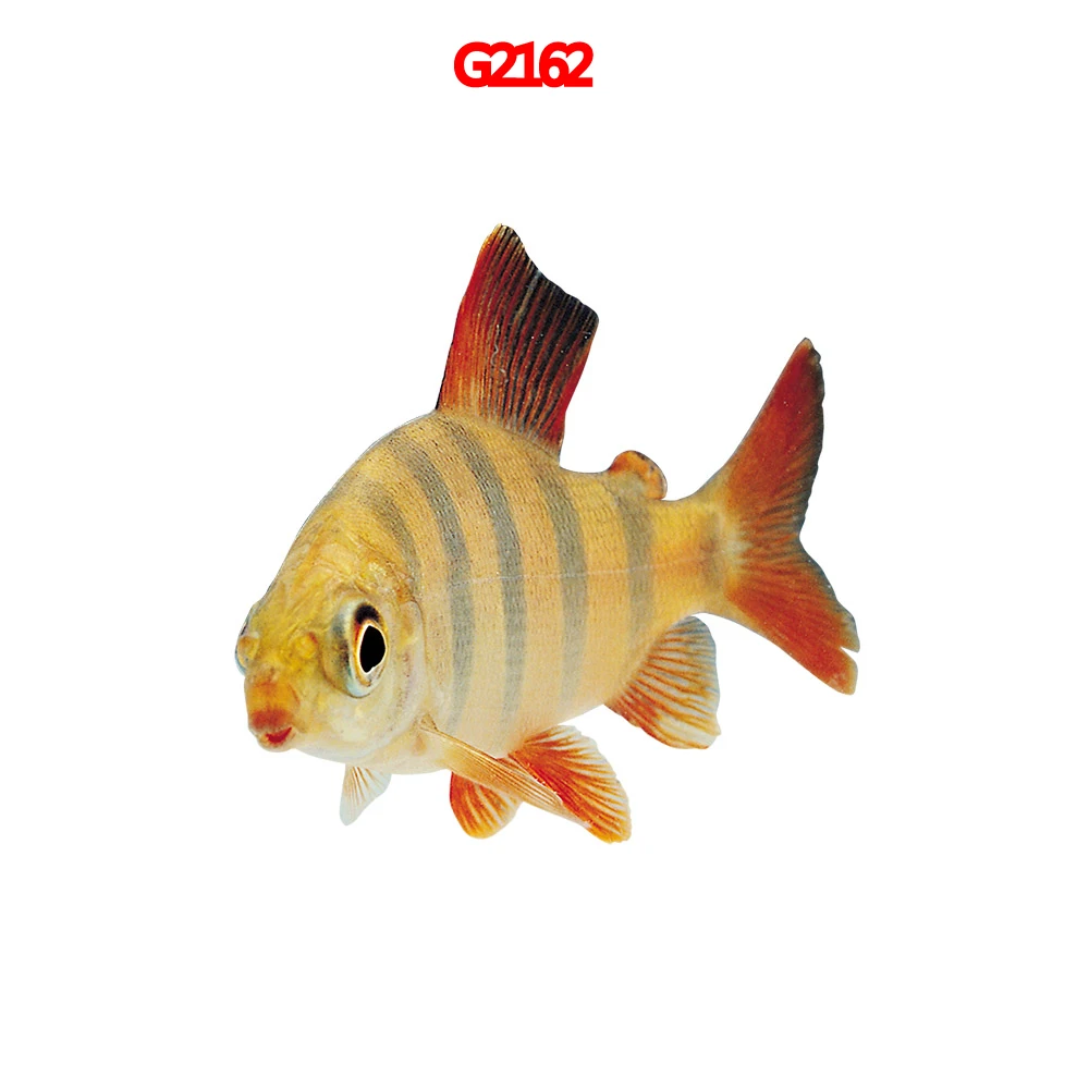 

Cartoon Fish Car Sticker Car Stickers AutoPVC Car Sticker Car Accessories