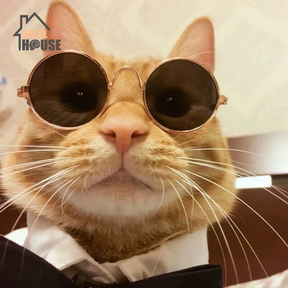 

Snailhouse Dress Up Cool Glasses Cat Pet Products Eye-wear Sunglasses Small Dog Kitten Pet Photos Props Accessories Pet Products