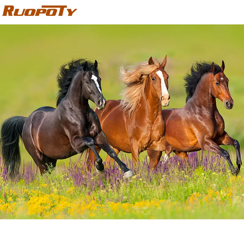 RUOPOTY 60x75 см рамка Diy картина по номерам набор лошадь Раскраска по номерам Современная Настенная художественная картина по номерам для домашнего декора
