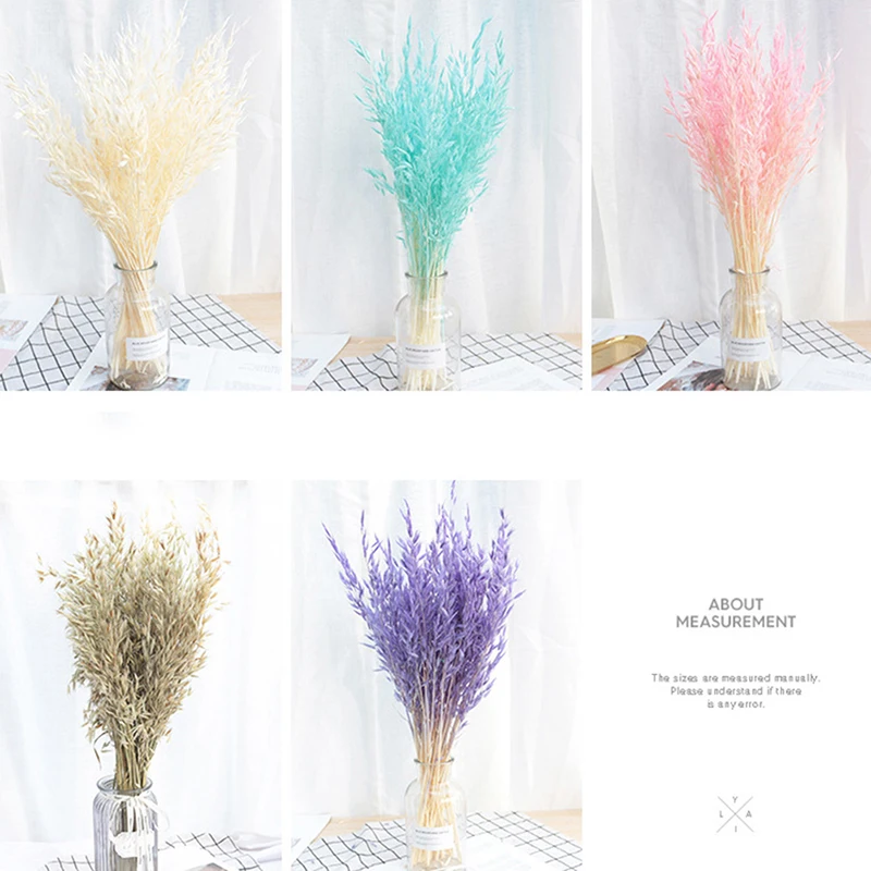 

25PCS Dried Natural Plant Oats Branch Real Dry Eternal Ears of Wheat Flower Bouquet For Home Room Decor Wedding Decoration