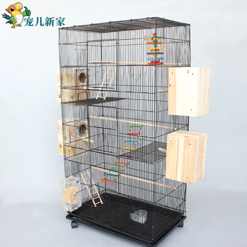 

Comfortable Paradise for Birds in CX Large Parrot Cage