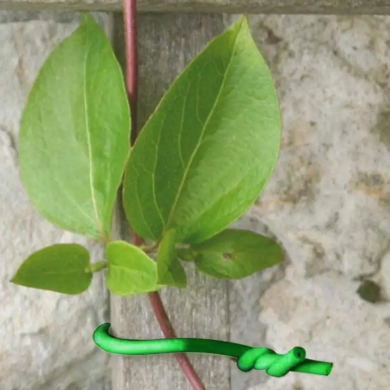 

10m Plant Twist Tie With Cutter Sturdy Green Coated Wire Climbing Vines Ligature Multifunction Fixed Strings Plant Twist Tie