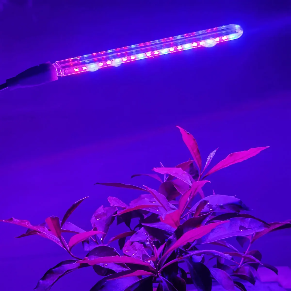 

Drop Shipping LED Grow Light DC5V USB Full Spectrum Lamp For Indoor Desk Plant Seedlings Flower Succulents LIghting