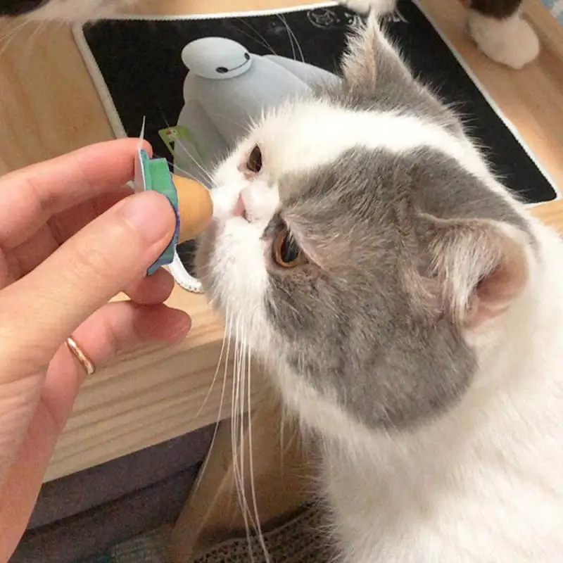 1PC Cat Sugar Ball Natural Catnip Solid Candy Snacks Licking Nutrition Treats Energy Toy Pet Toys Supplies | Дом и сад