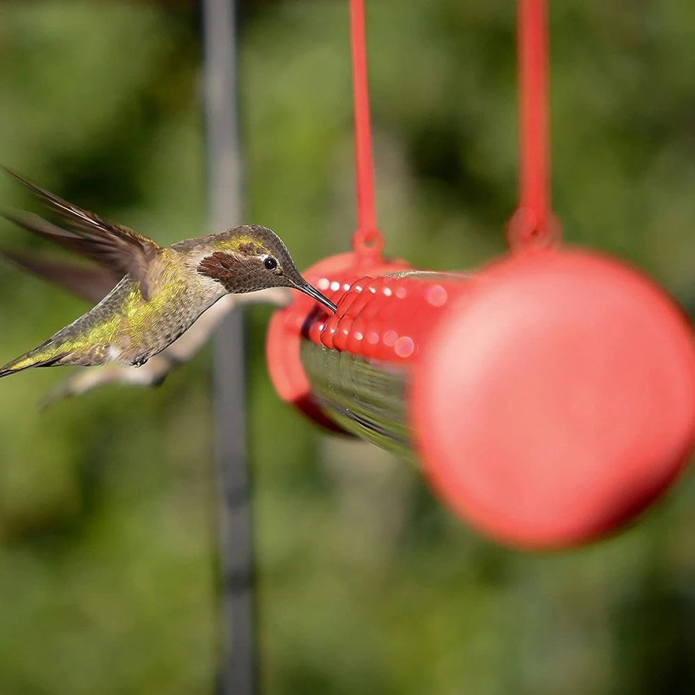 

Best Hummingbird Feeder with Hole Birds Feeding Transparent Pipe Easy to Use Household Garden Feeding Bird Feeding Pipe