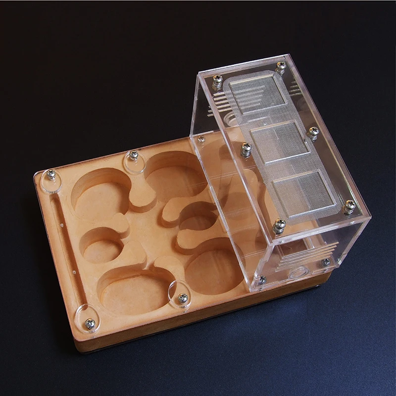 Ant Flat Nest Acrylic Farm Plus жесткая гипсовая доска ящик для насекомых Террариум