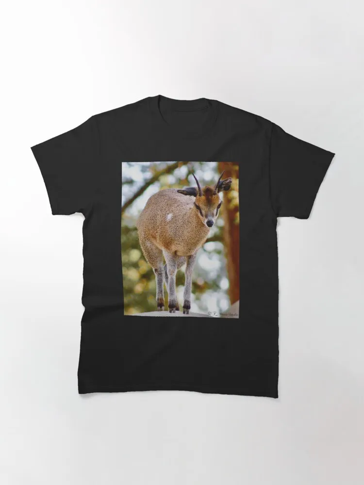 

Женская Классическая футболка Klipspringer