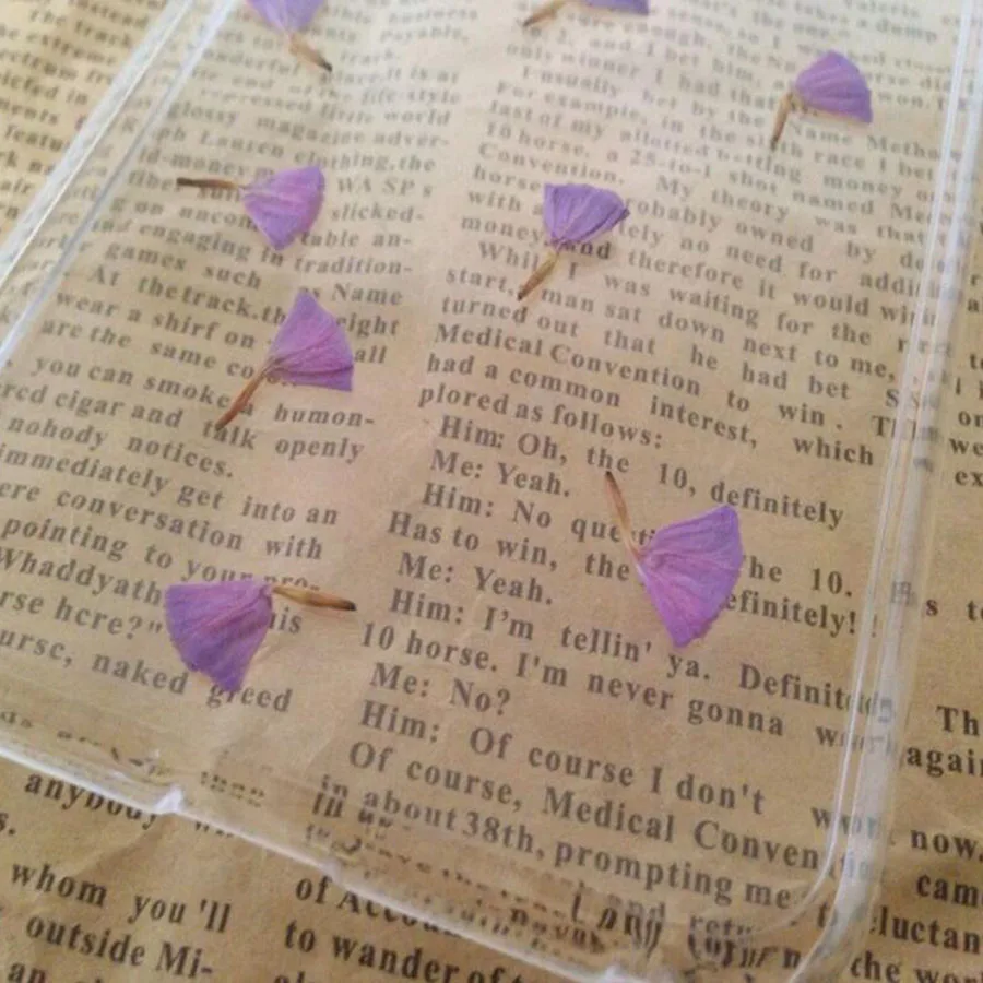 100 шт. прессованные сушеные фиолетовые лепестки цветка миосотиса силватика