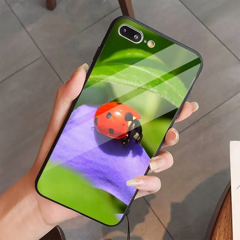

ladybug cute animal flowers Phone Case Tempered glass For iphone 5C 6 6S 7 8 plus X XS XR 11 PRO MAX