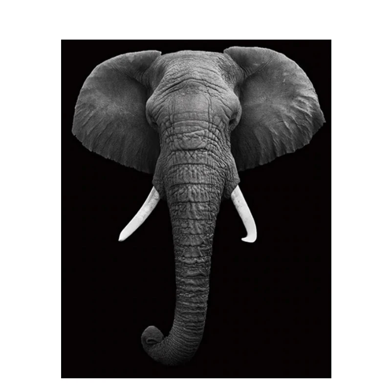 

Elephants Poster Vinyl Sticker SUV Fine Decal Decor Graphic Car-styling Laptop Toilet wall doors and windows Exterior Decor