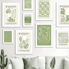 Постеры и принты Green Matisse Picasso с вырезами, настенные картины в скандинавском стиле для украшения гостиной