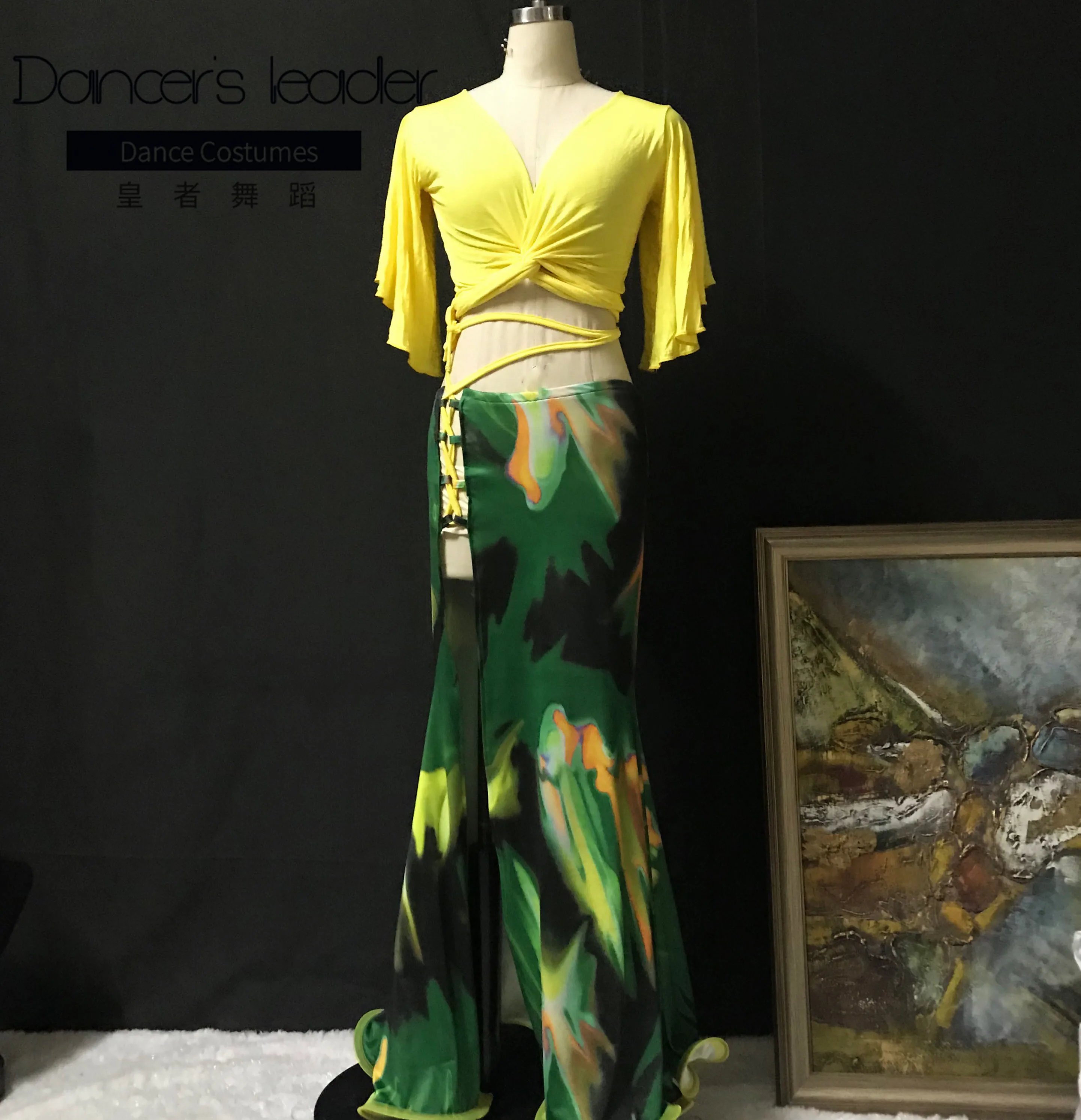 

High-end custom belly dance suit V-neck top + fishtail skirt female adult elegant stage professional oriental dance costume