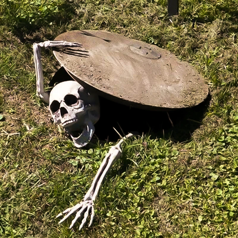 

Украшение для сада на Хэллоуин «сделай сам», страшный дом, череп, скелет, лапа, плохое привидение, Декор для дома с привидениями, пугающий дет...