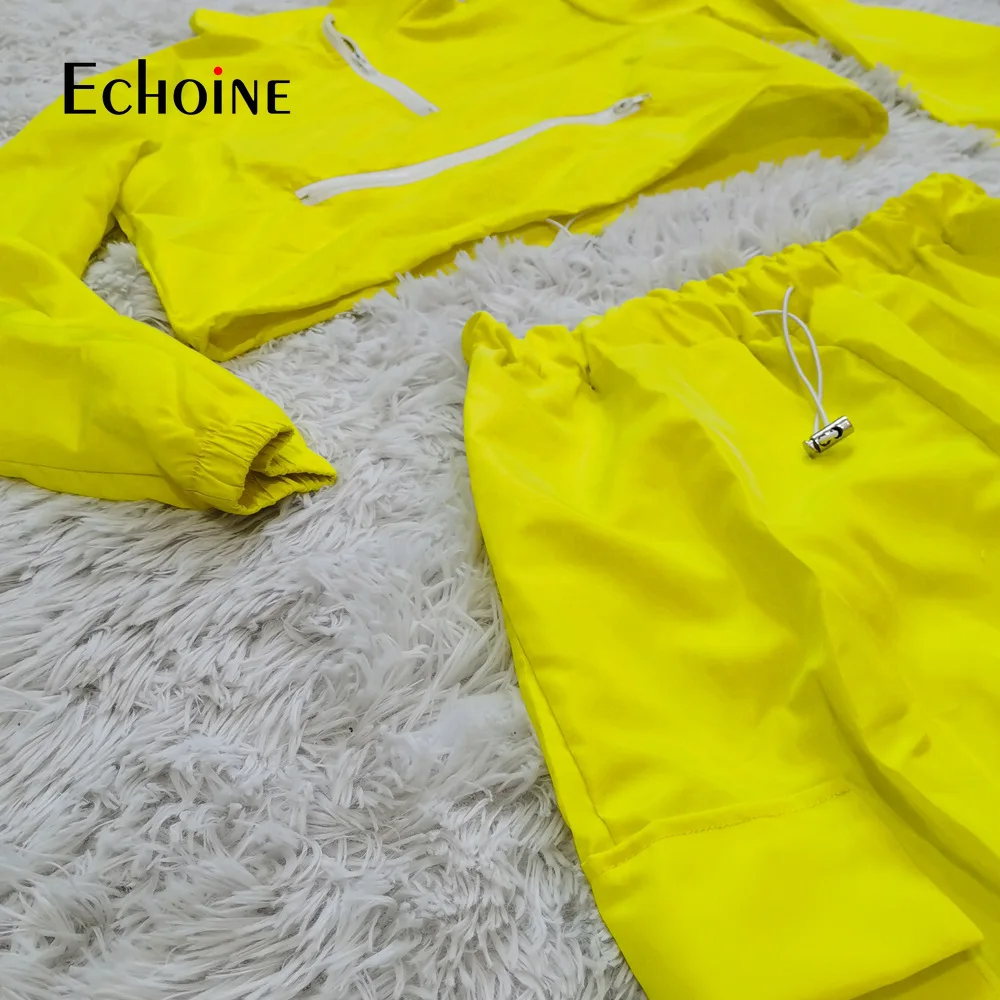 

Echoine Women Autumn Winter Casual Personalized zipper pocket Set Solid Long Sleeve Hooded Crop Top Loose pants Two Piece Set