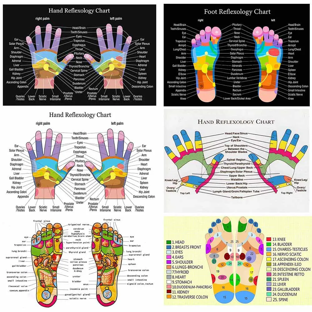 

Hd More Style Reflexology Labeled Hand Chart Holistic Health Large Colour Poster Decoration Art DecorCanvas Poster