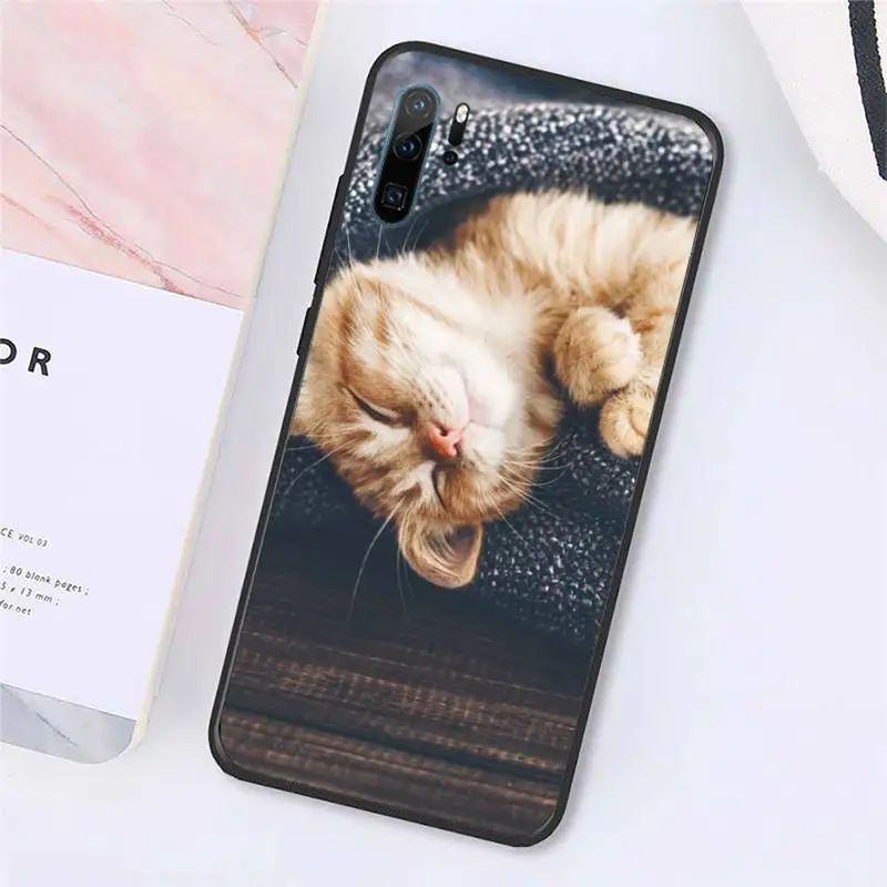 

cat cute animal Phone Case For Huawei honor Mate P 10 20 30 40 Pro 10i 9 10 20 8x Lite Y91C V17 6.38 6.44