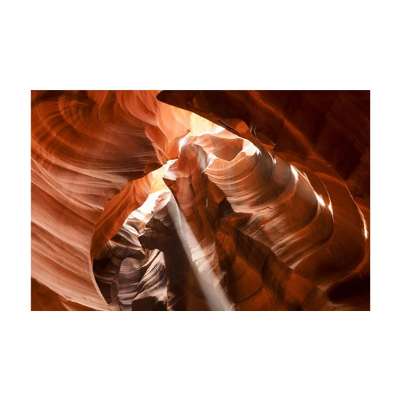 lower antelope-4 Плакат, холст, живопись с животными, Розовый фламинго, картина маслом, настенные художественные картины для гостиной, Куадрос, домашний декор, без рамки - Цвет: lower antelope-4