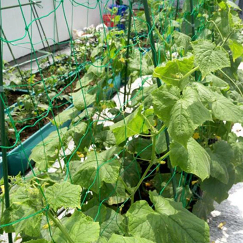 

1pc 180*360cm Nylon Morning Glory Flower Vine Climbing Net Garden Netting Cucumber Plants Landing Net Grow Supports